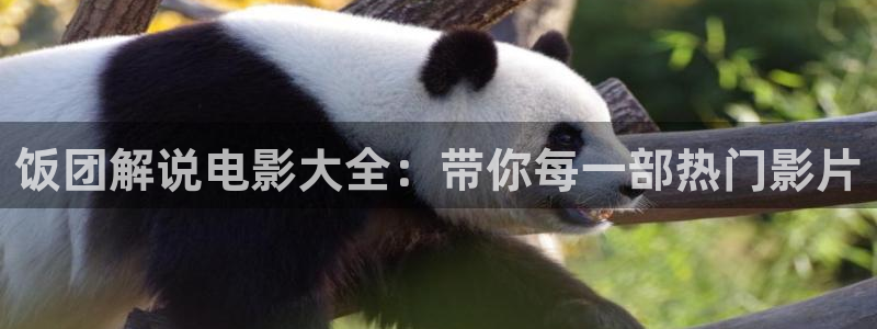 久久久精品电影免费看