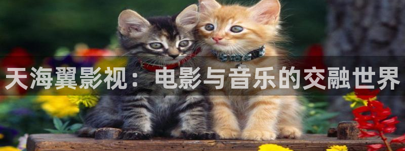 久久久久精品小视频