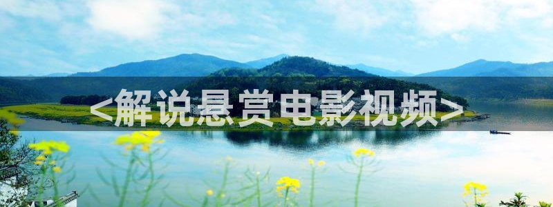 国内久久久影院