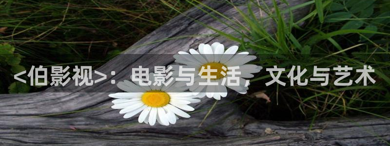 碰碰久久视频