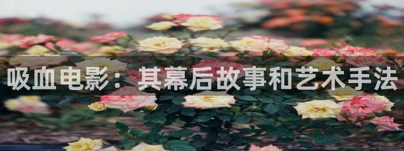 久久视频大全