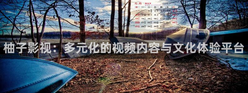 久久久九九影院