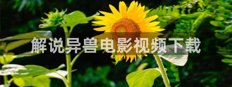 天天影视综合网久久久