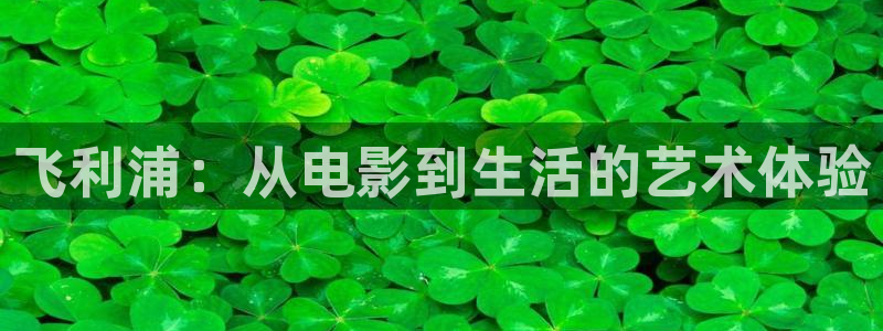 久久久久免费观看视频