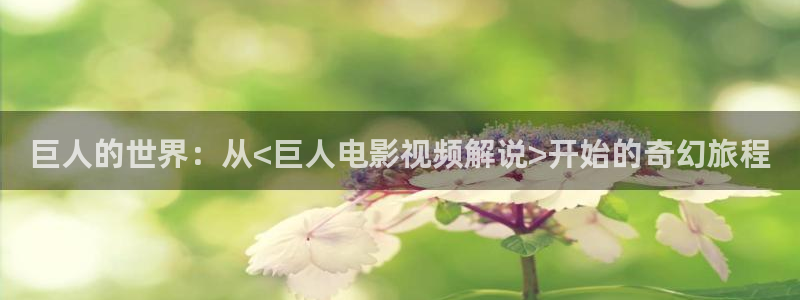 久久久久久久久国产视频