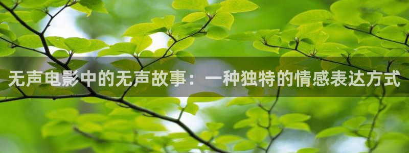 午夜天堂av天堂久久久