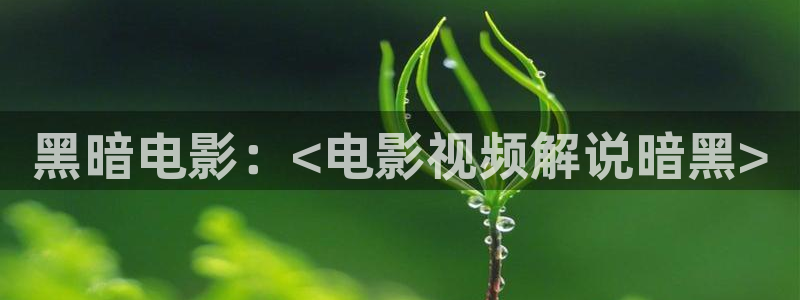 精品生活片电影久久久久