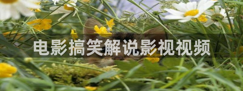 久久视频亚洲视频